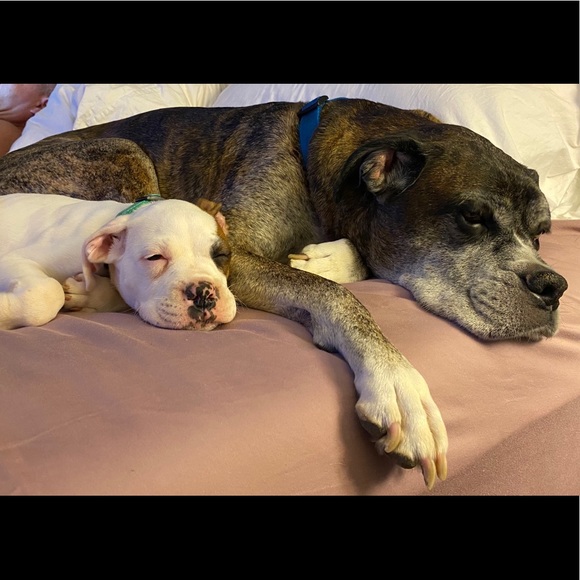 Meet your Posher, Kristin - Picture 1 of 1